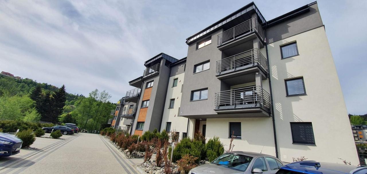 Abstractive Spokojna Apartment Wisla